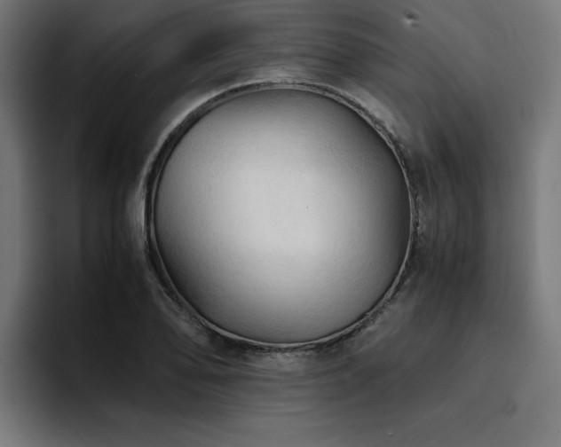X0000094451078200711081300
