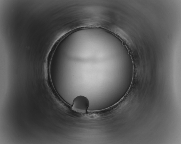 X0000094451079200711081300