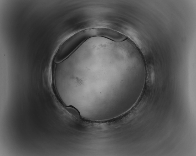 X0000094451080200711081300