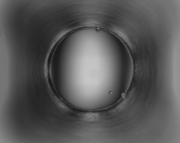 X0000094451082200711081300