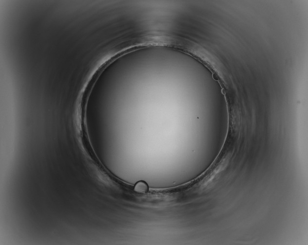 X0000094451083200711081300