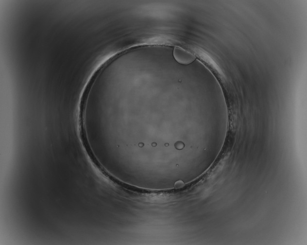 X0000094451087200711081300