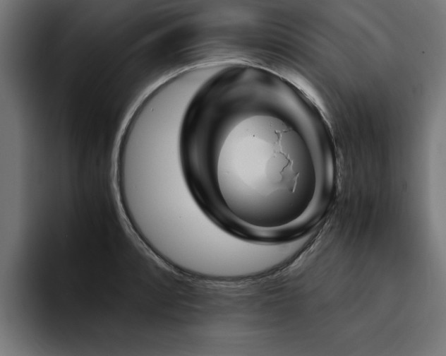 X0000094451088200711081300