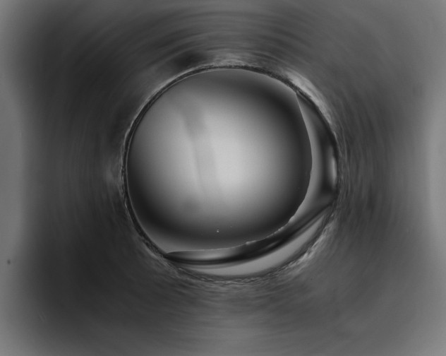 X0000094451089200711081300