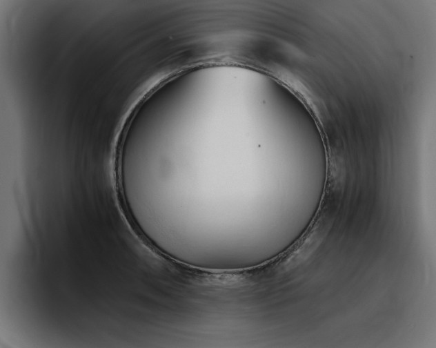 X0000094451090200711081300