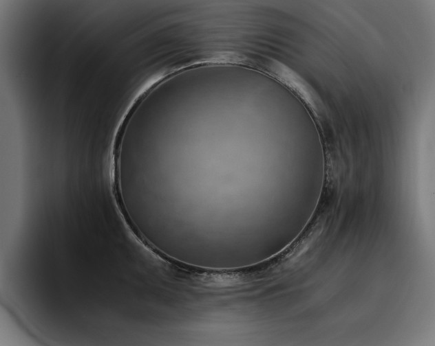 X0000094451095200711081300