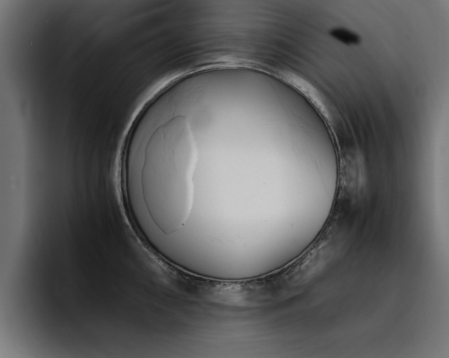 X0000094451098200711081300