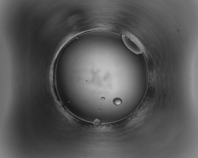 X0000094451099200711081259