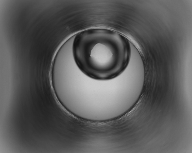 X0000094451100200711081259