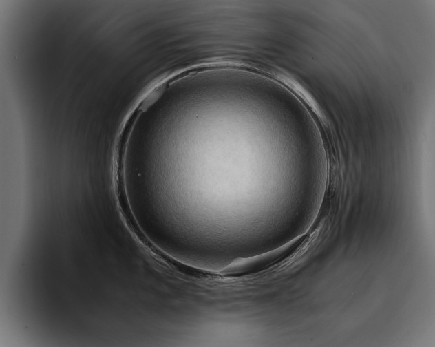X0000094451101200711081259