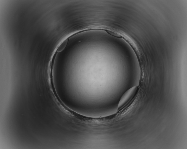 X0000094451102200711081259