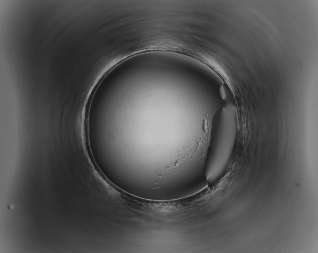 X0000094451103200711081259