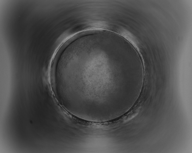 X0000094451104200711081259