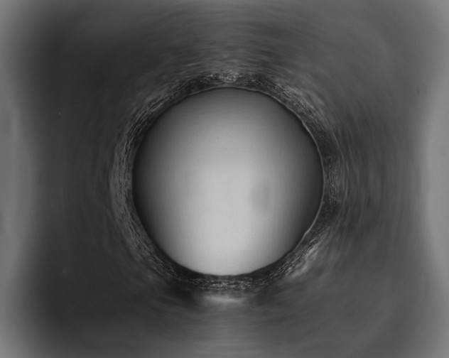 X0000094451105200711081259
