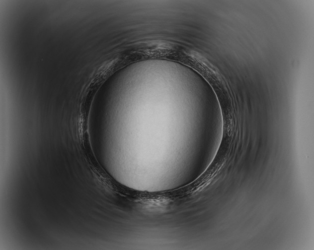X0000094451108200711081259