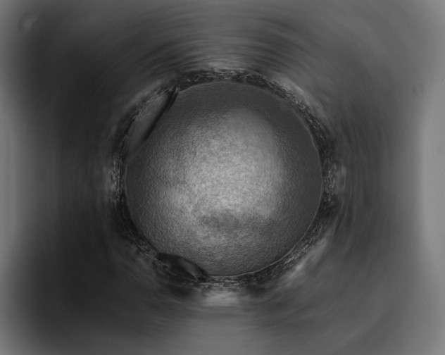 X0000094451110200711081259