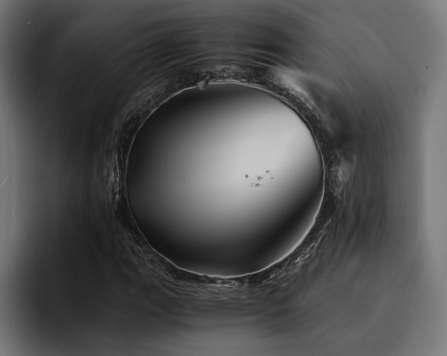 X0000094451111200711081259