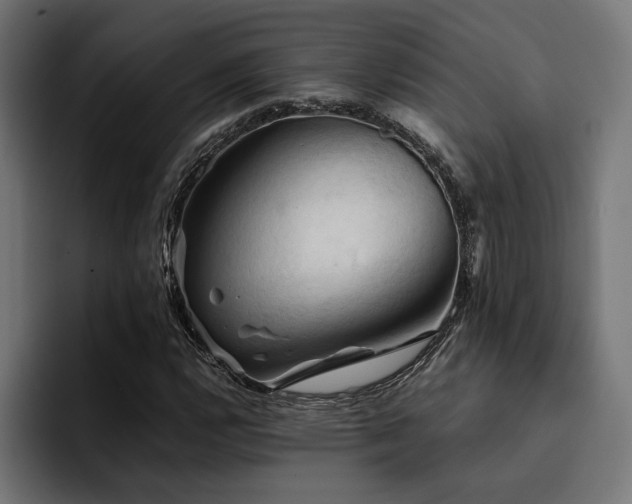 X0000094451112200711081259