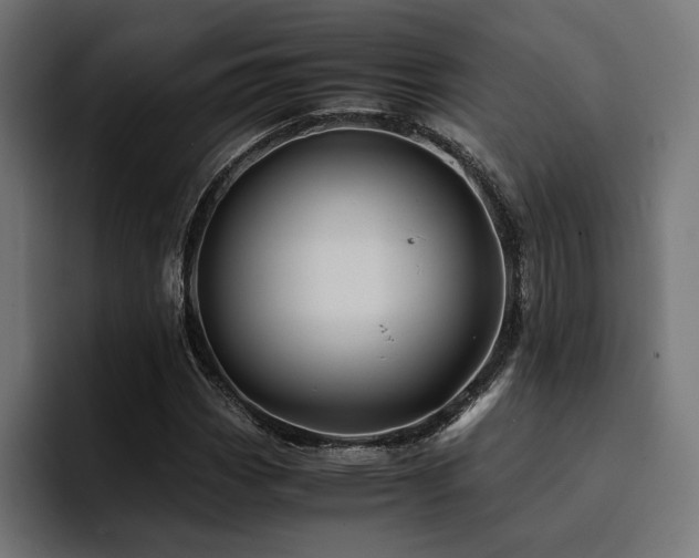 X0000094451113200711081259