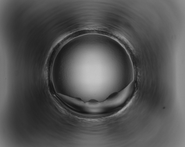 X0000094451114200711081259