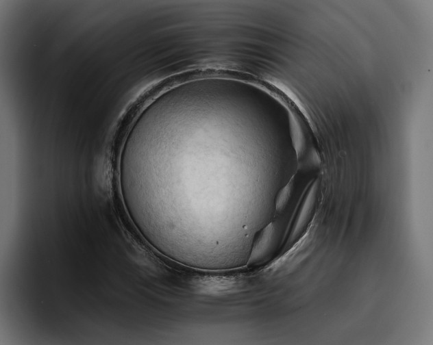 X0000094451115200711081259