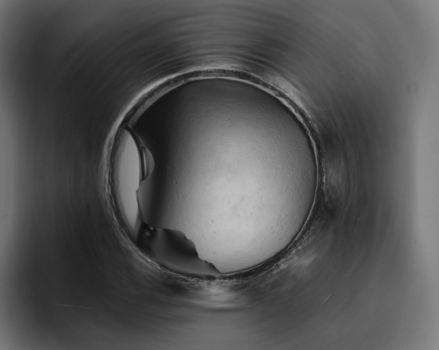 X0000094451116200711081259