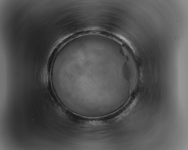 X0000094451117200711081259
