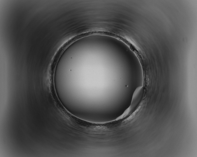 X0000094451119200711081259