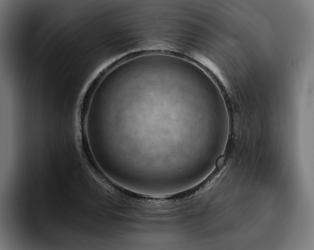 X0000094451120200711081259
