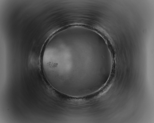 X0000094451121200711081259