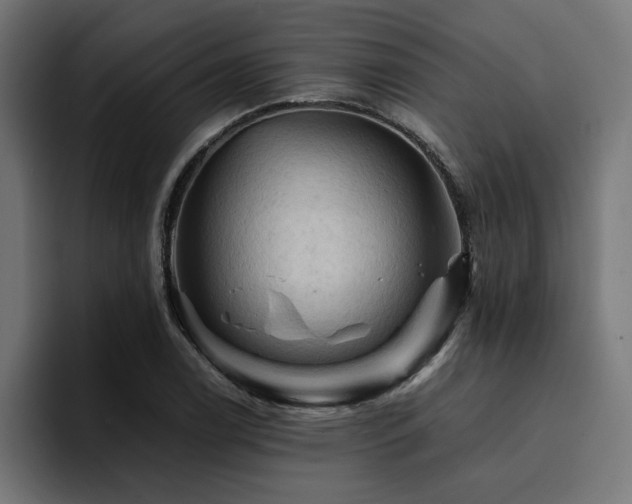X0000094451122200711081259