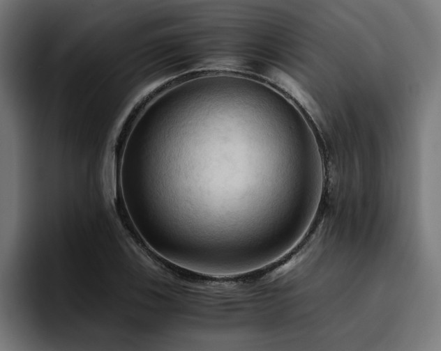 X0000094451123200711081259