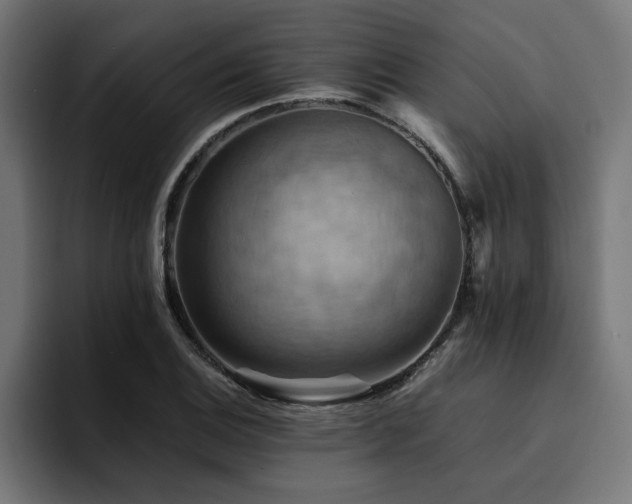 X0000094451124200711081259