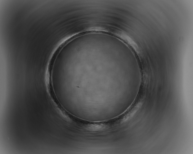 X0000094451125200711081259