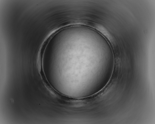 X0000094451127200711081259