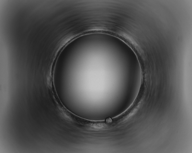 X0000094451129200711081259