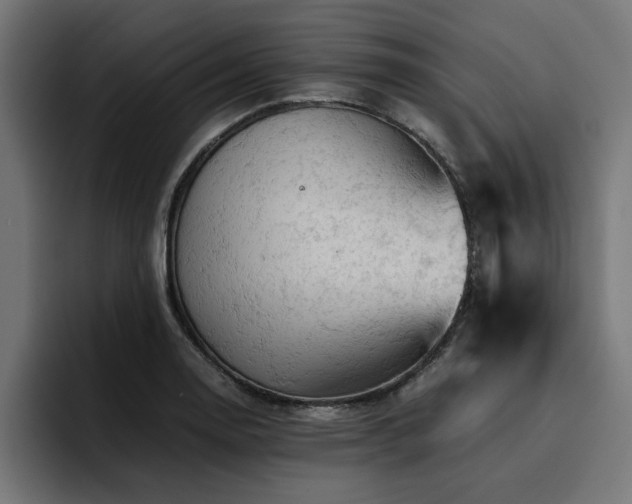 X0000094451130200711081259