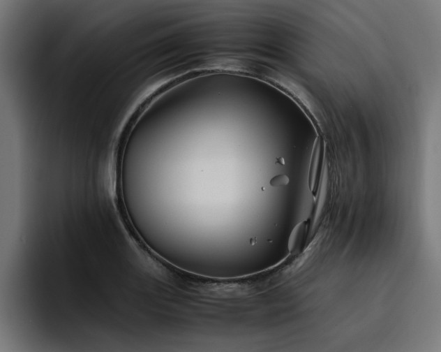 X0000094451131200711081259