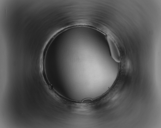 X0000094451132200711081259