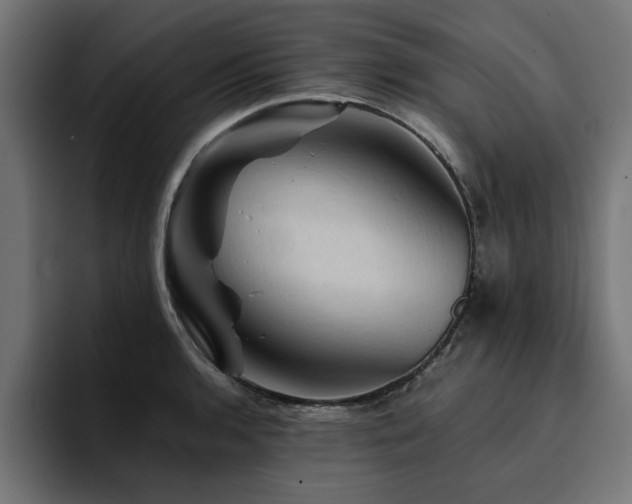 X0000094451136200711081259