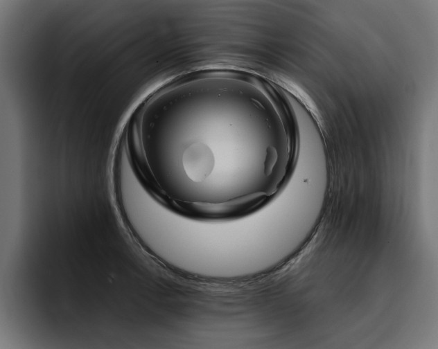 X0000094451138200711081259