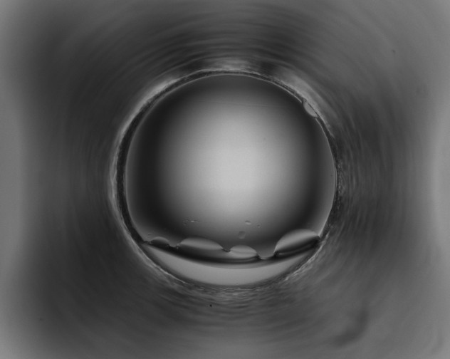 X0000094451139200711081259