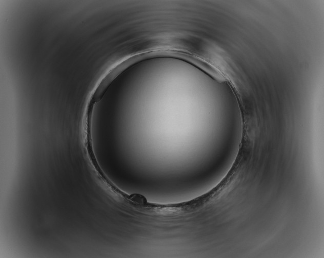 X0000094451140200711081259