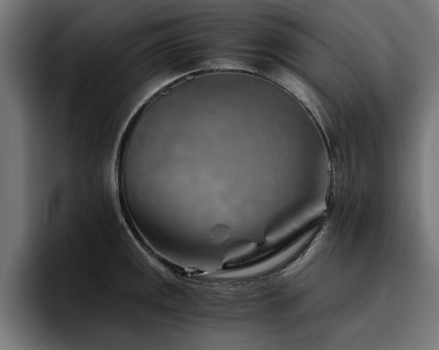 X0000094451141200711081259