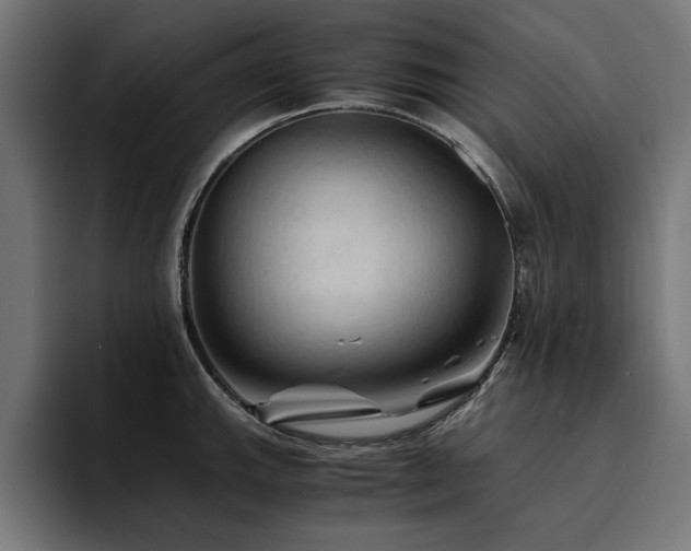 X0000094451143200711081259