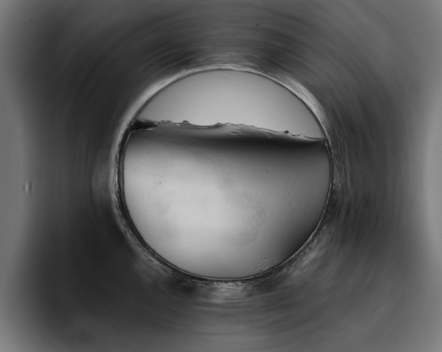 X0000094451144200711081259