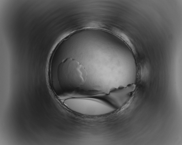X0000094451146200711081259