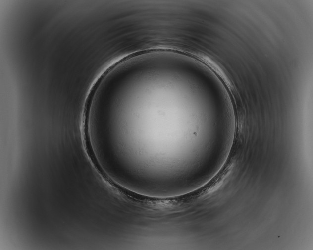 X0000094451149200711081259