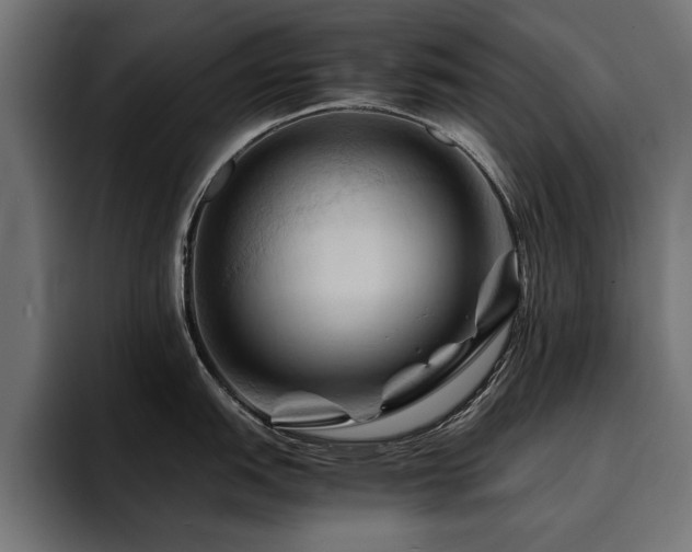 X0000094451151200711081259