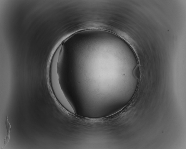 X0000094451152200711081259
